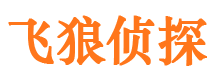 济宁外遇调查取证